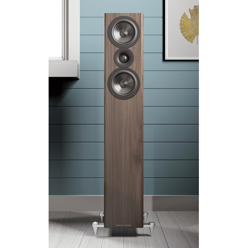 Imagen adicional del producto