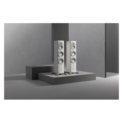 Imagen adicional del producto