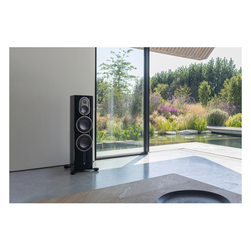 Imagen adicional del producto