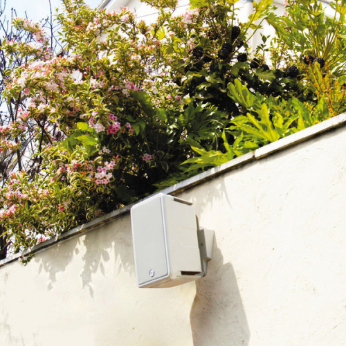 Imagen adicional del producto