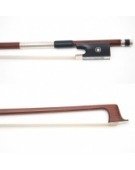 Violin 170