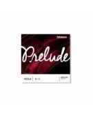 Prelude 4A Do