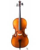 Cello Student