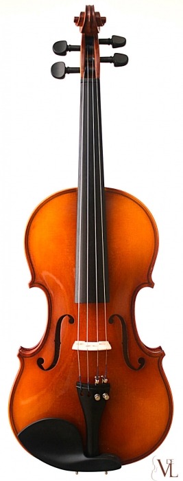 Violin Hora Elite 4/4