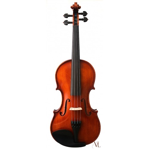 Violin Professional 4/4
