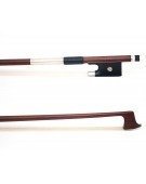 Violin 74