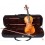 Violin Carlo Giordano Vs2 4/4