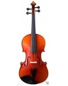 Viola Vp3