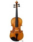 Viola Golden State 15