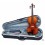 Violin Carlo Giordano Vs1 - 1/2