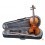 Violin Carlo Giordano Vs15 - 3/4