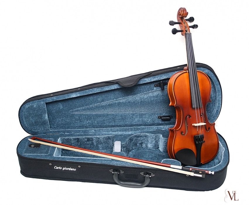 Violin Carlo Giordano Vs0 - 1/4
