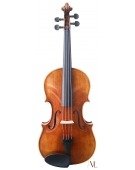 Viola 905