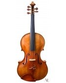 Viola 5 Cuerdas