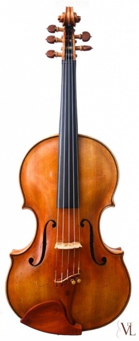 Serguei Savrov Viola 5 Cuerdas