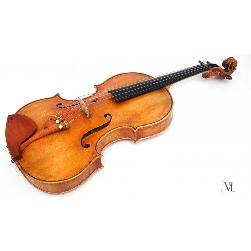 Viola 5 Cuerdas