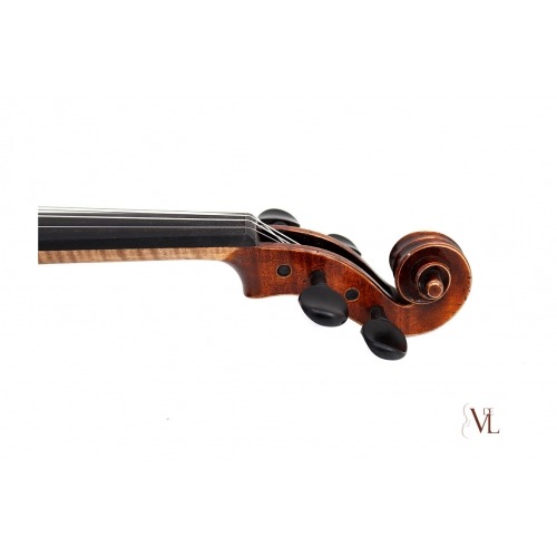 Violin Profesional