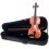 Set Violin Gliga Gems I 3/4