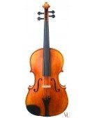 Viola Golden State 17