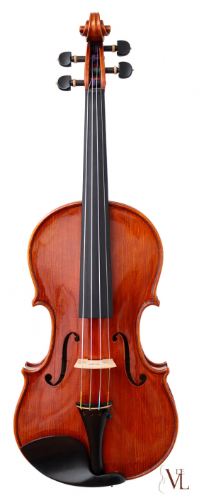 Paolo Traversi - Violin Stradivari