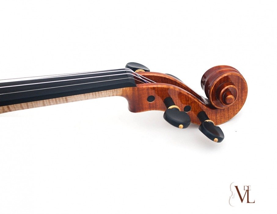 Paolo Traversi - Violin Stradivari