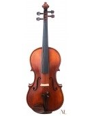 Viola Agape