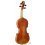 Davide Pizzolato - Violin Guadagnini 1772
