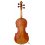 Davide Pizzolato - Violin Guadagnini 1772