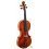 Davide Pizzolato - Violin Guadagnini 1772
