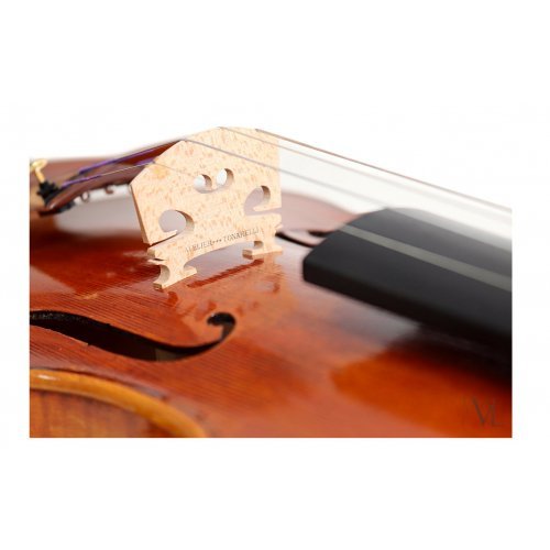 Violin Guadagnini 1772