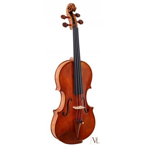 Davide Pizzolato Violin Guadagnini 1772