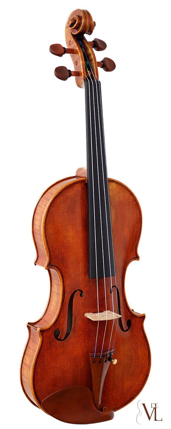 Davide Pizzolato Violin Guadagnini 1772