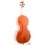 Daniele Scolari - Cello Antonio Stradivari 1710 Gore Booth