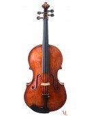 Viola 16,5