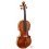 Daniele Tonarelli - Master Violin G. B. Guadagnini 