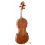 Daniele Tonarelli - Master Violin G. B. Guadagnini 