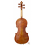Daniele Tonarelli - Master Violin G. B. Guadagnini 