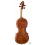 Daniele Tonarelli - Master Violin G. B. Guadagnini 
