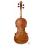 Daniele Tonarelli - Master Violin G. B. Guadagnini 