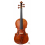 Daniele Tonarelli - Master Violin G. B. Guadagnini 