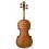 Daniele Tonarelli - Master Violin Guarneri Del Gesú 