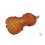 Daniele Tonarelli - Master Violin Guarneri Del Gesú 