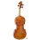 Daniele Tonarelli - Master Violin Guarneri Del Gesú 