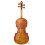 Daniele Tonarelli - Master Violin Guarneri Del Gesú 