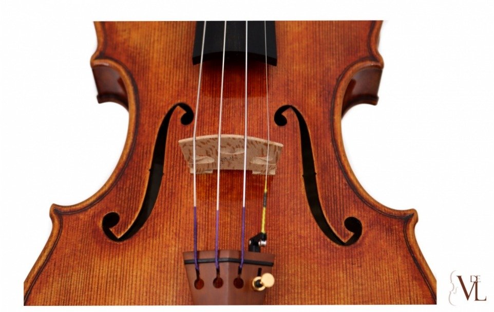 Daniele Tonarelli - Master Violin Guarneri del Gesú 