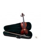 Viola 14