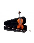 Viola 13