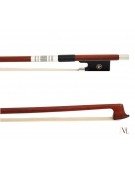 Viola Yac20