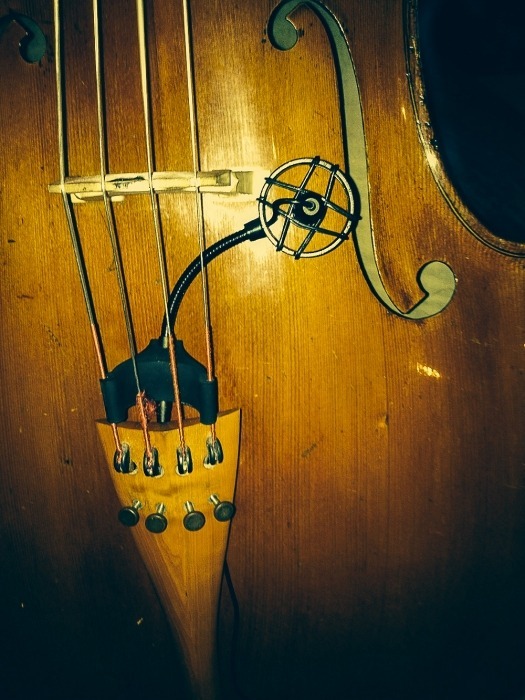 Micrófono Para Cello Prodipe Cl21
