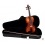 Violin Franz Sandner Set Mod 104